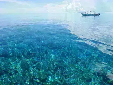 Les plages et eaux paradisiaques de l'île d'Ishigaki dans l'archipel d'Okinawa