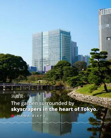 Hama-Rikyu, the garden surrounded by skyscrapers in the heart of Tokyo