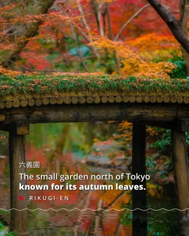 Rikugi-en, the small garden north of Tokyo known for its autumn leaves