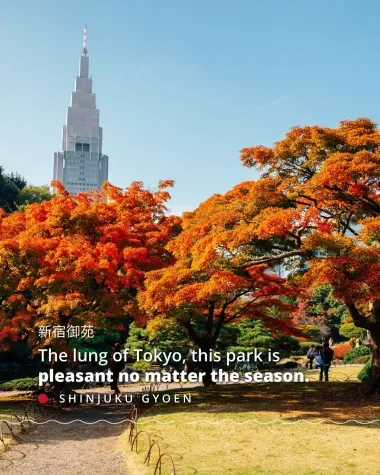 Shinjuku Gyoen, the lung of Tokyo, is pleasant no matter the season