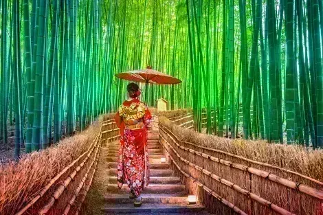 Boschetto di bambù ad Arashiyama: famoso sito turistico da visitare a Kyoto