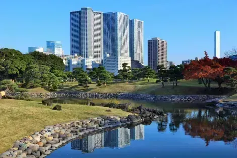 Hamarikyu, le jardin japonais entre les buildings de Tokyo