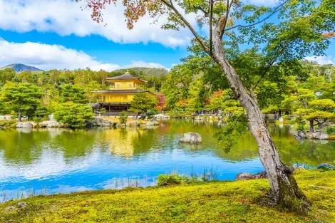Goldener Pavillon Kinkaku-ji: ein Muss in der alten Hauptstadt von Kyoto