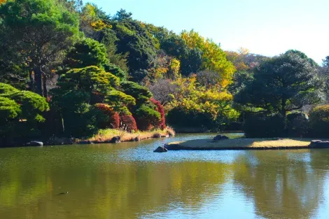 le jardin japonais de Koishikawa Shokubutsuen