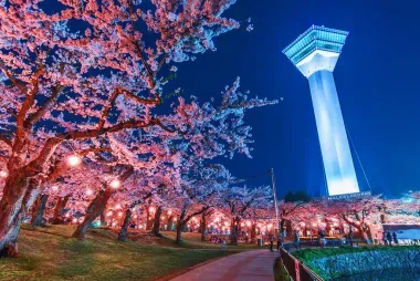 The tower of Goryokaku park