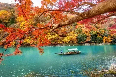 River in Arashiyama during fall : famous touristic site to visit in Kyoto