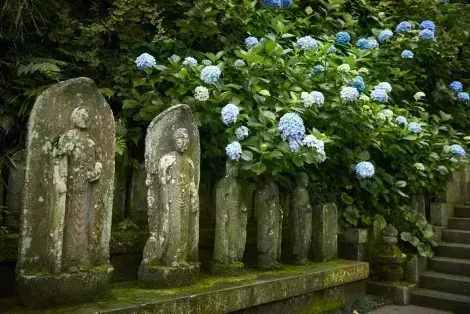 The Hasedera temple, in Kamakura: flower garden, sea view or even an eleven-headed statue!
