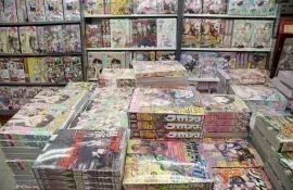 Manga bookshop in Akihabara